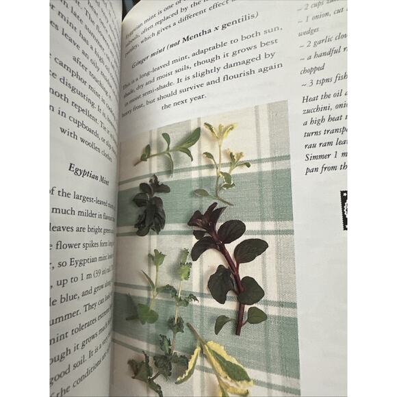 Book Of Mint - Picture 5 of 5